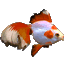 Goldfish Aquarium icon